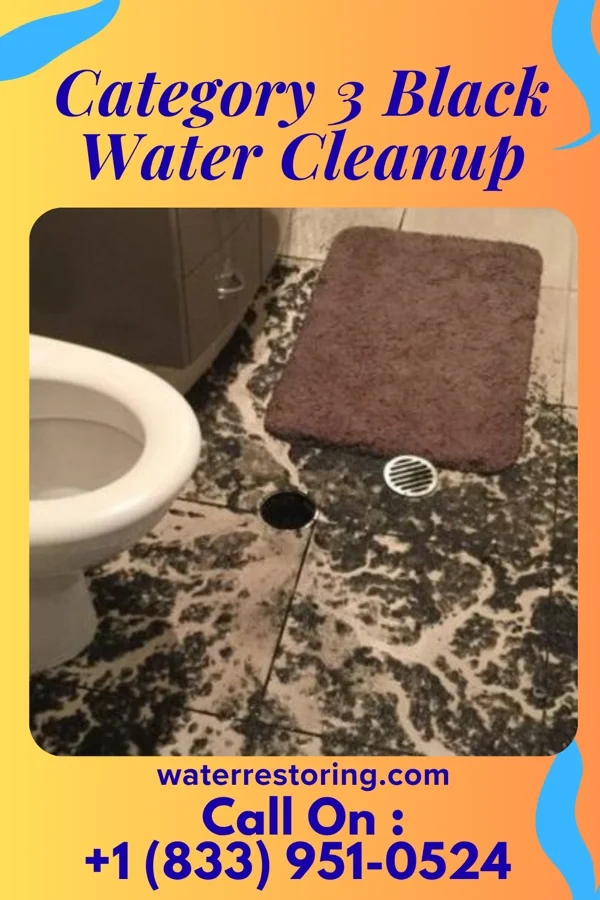 Category 3 Black Water Cleanup in Evendale, OH
