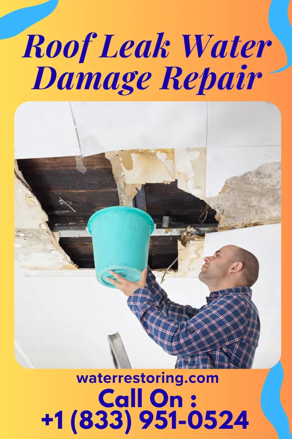 Roof Leak Water Damage Repair in Evendale, OH