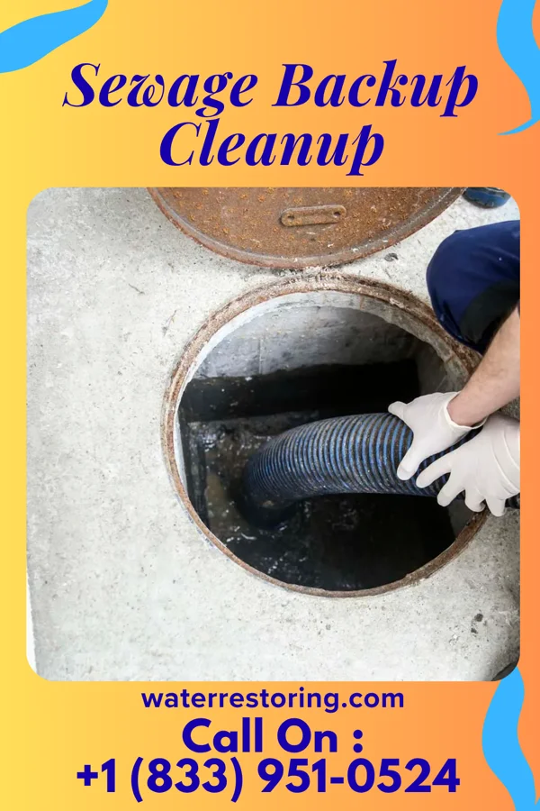 Sewage Backup Cleanup in Evendale, OH